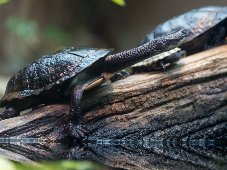WashingtonDC201207-041