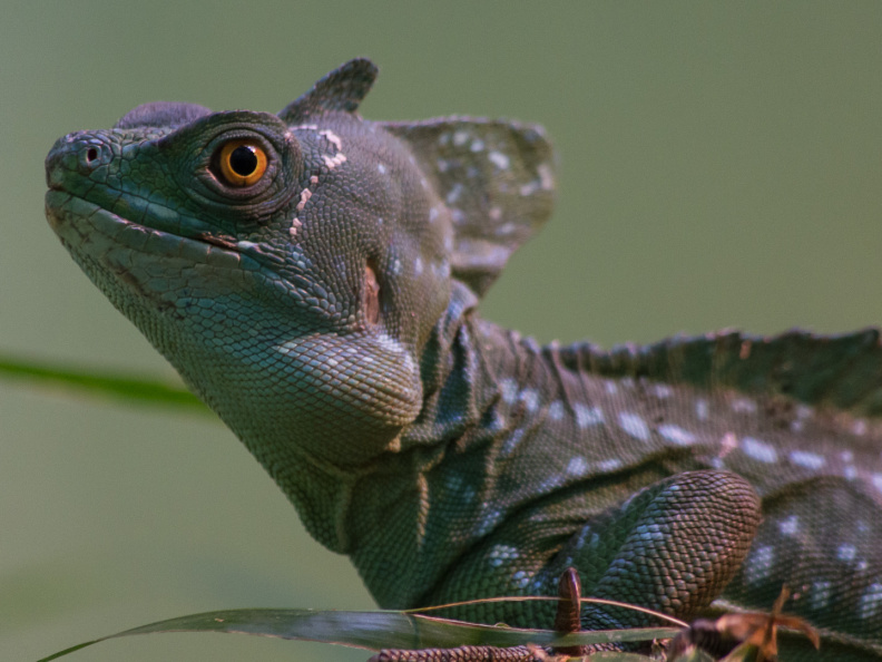 WashingtonDC201207-036