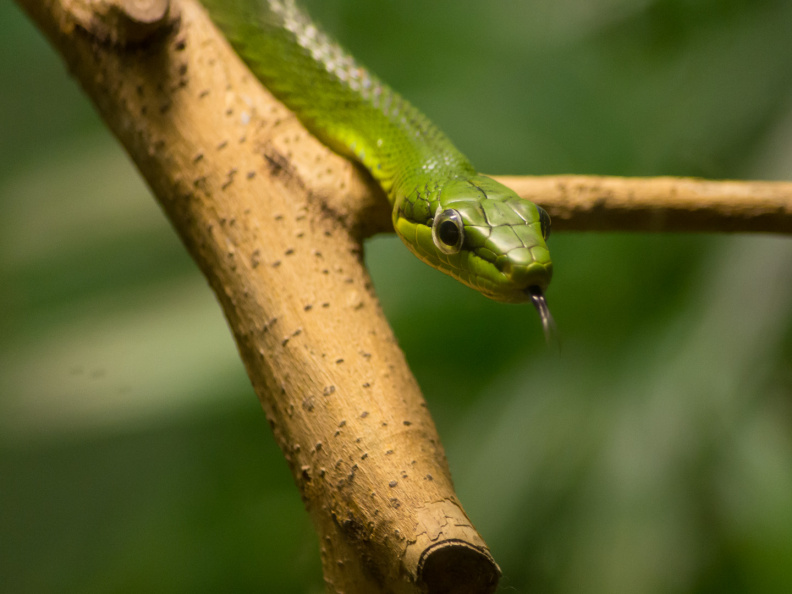 WashingtonDC201207-037