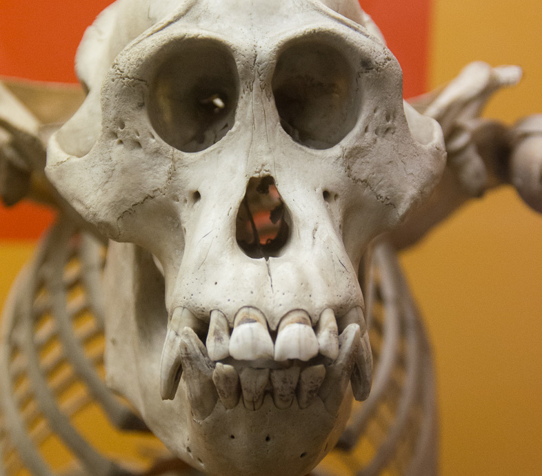 WashingtonDC201207-014