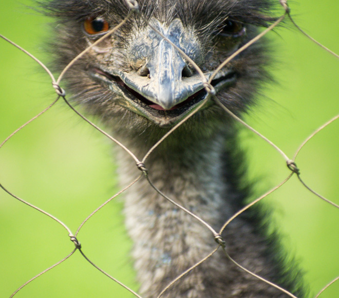 WashingtonDC201207-049