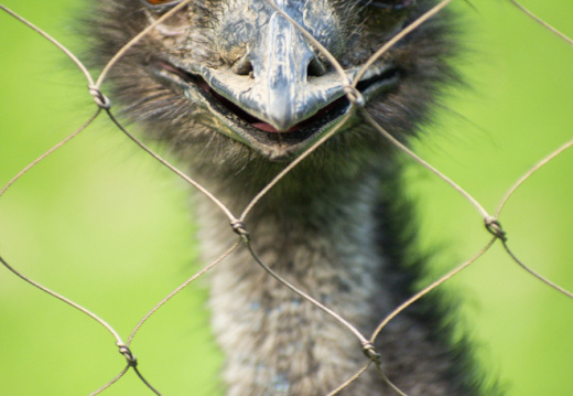 WashingtonDC201207-049