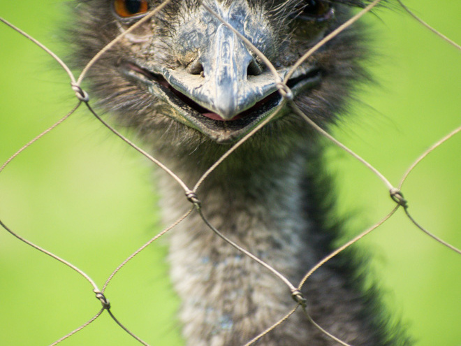 WashingtonDC201207-049