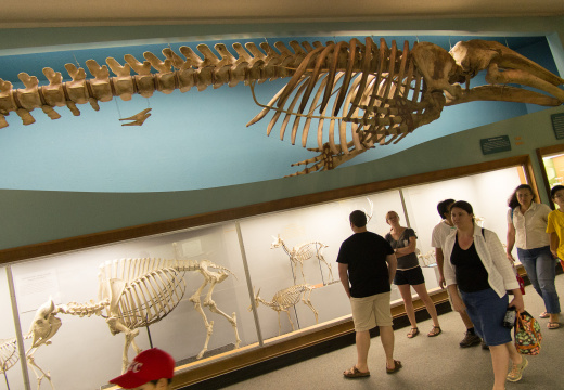 WashingtonDC201207-015