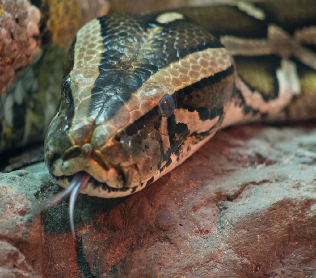 WashingtonDC201207-040