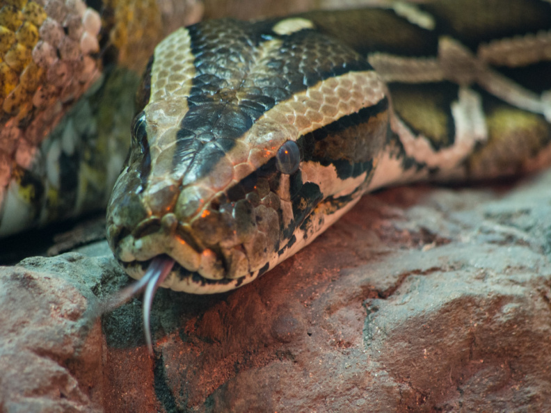 WashingtonDC201207-040