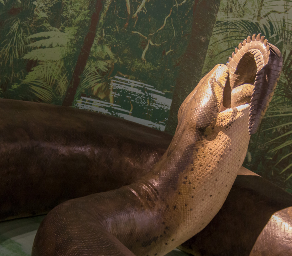 WashingtonDC201207-013