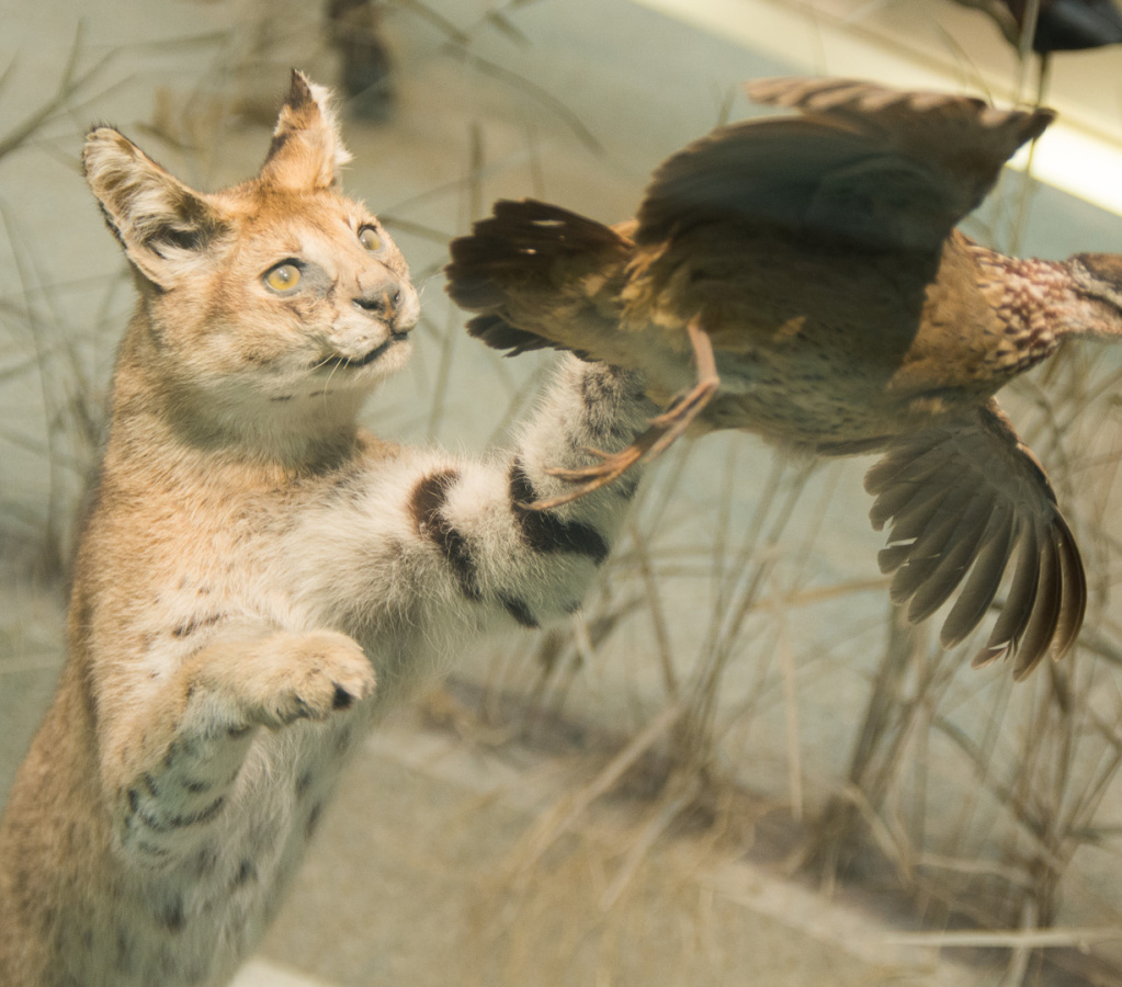 WashingtonDC201207-016