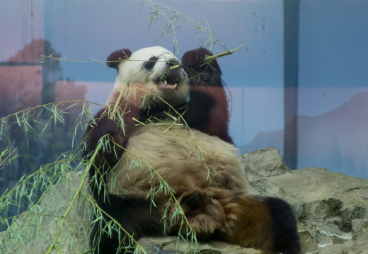 WashingtonDC201207-046