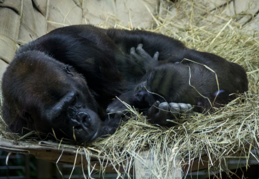 WashingtonDC201207-043