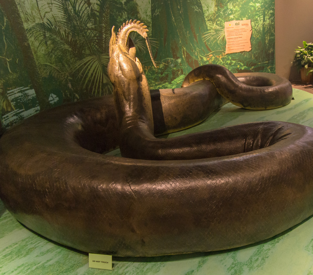 WashingtonDC201207-012