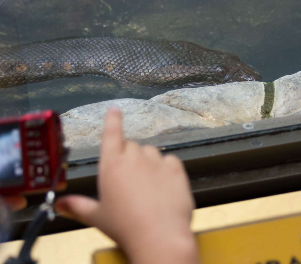 WashingtonDC201207-038