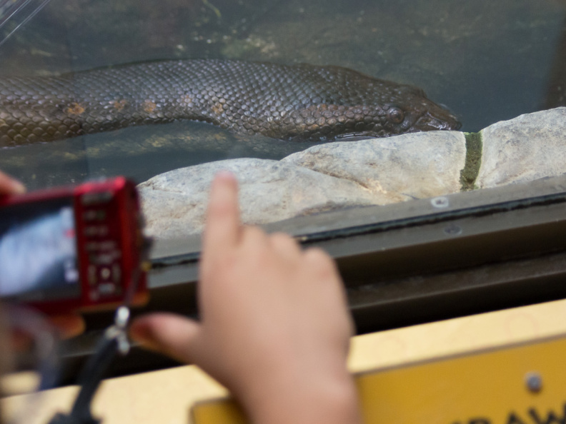 WashingtonDC201207-038