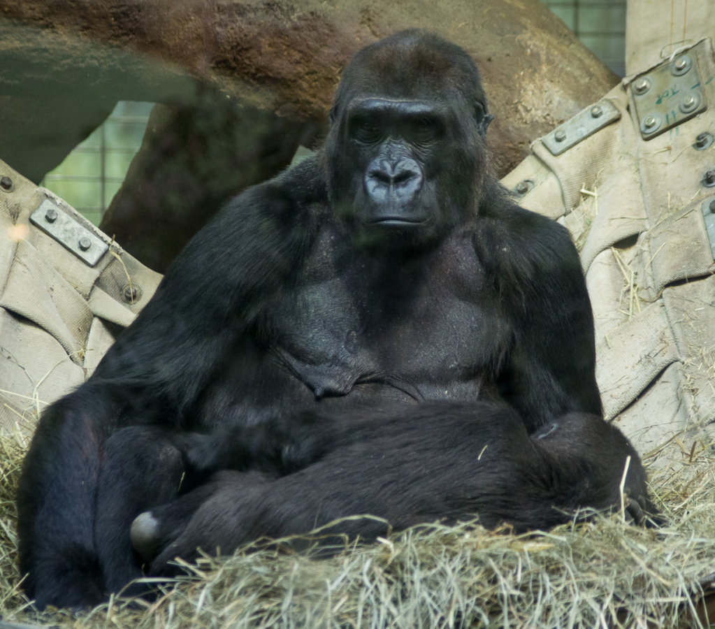 WashingtonDC201207-042