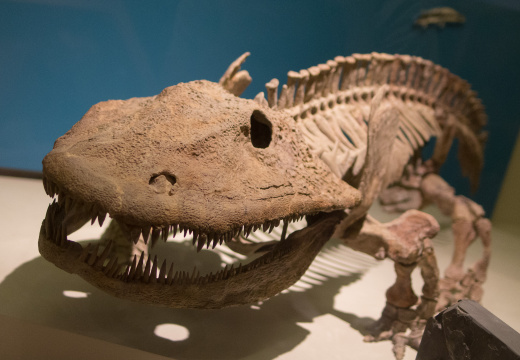 WashingtonDC201207-001