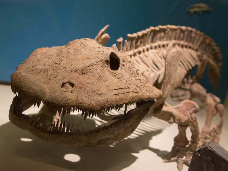 WashingtonDC201207-001