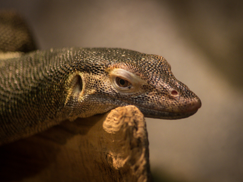 WashingtonDC201207-039