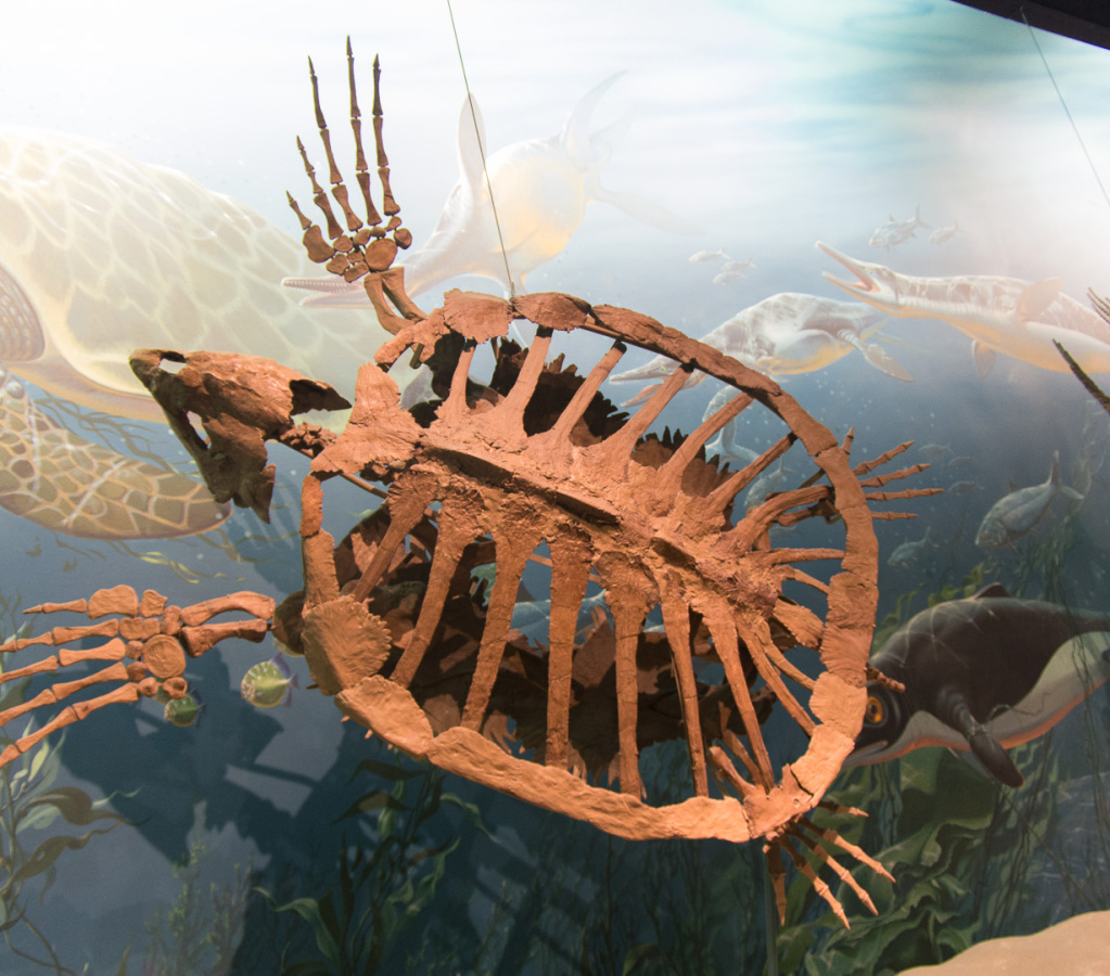 WashingtonDC201207-006