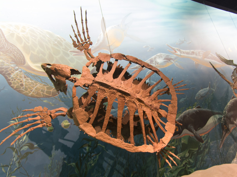 WashingtonDC201207-006