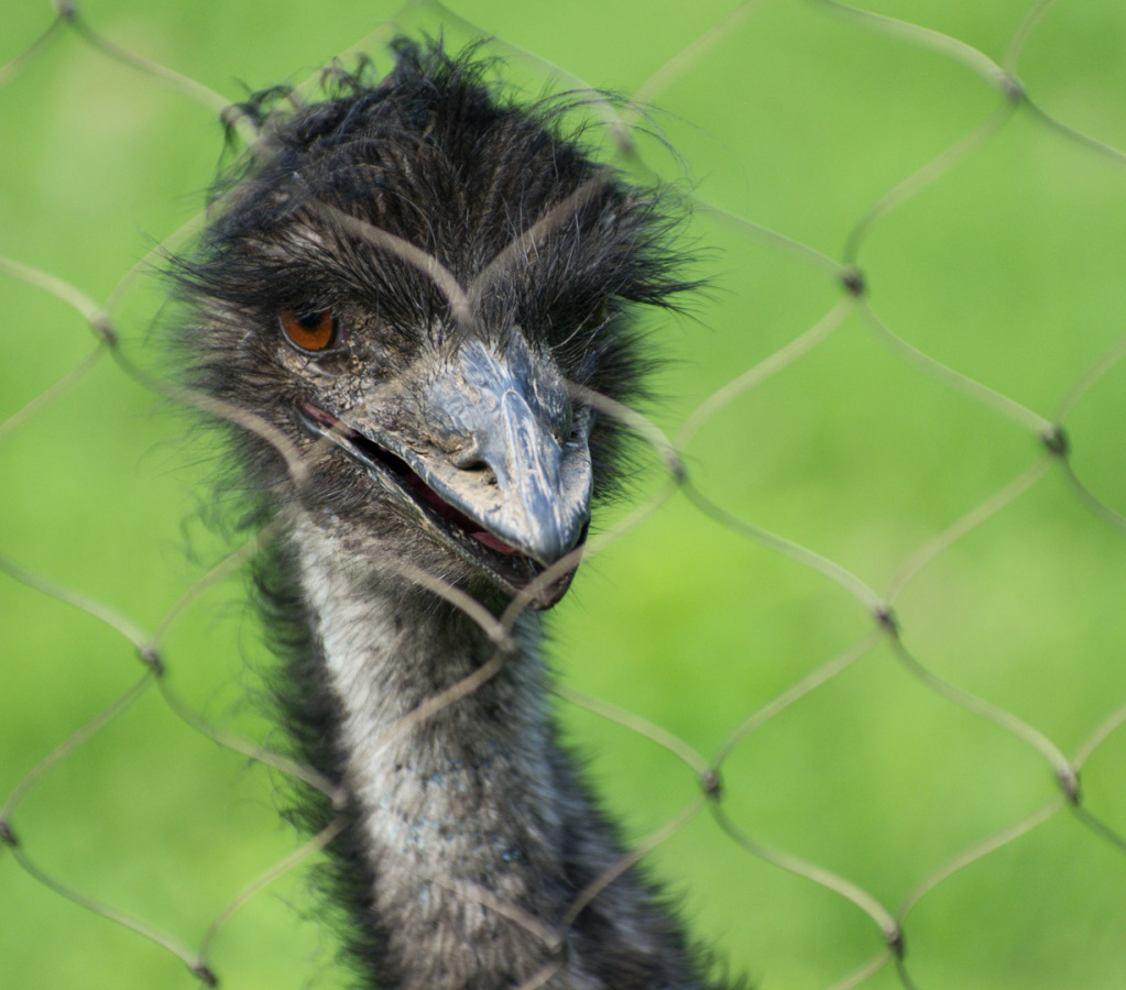 WashingtonDC201207-048