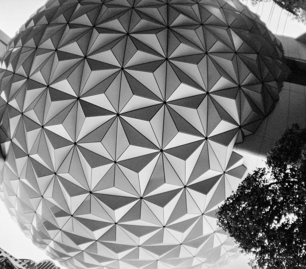 WDW2007-film-05
