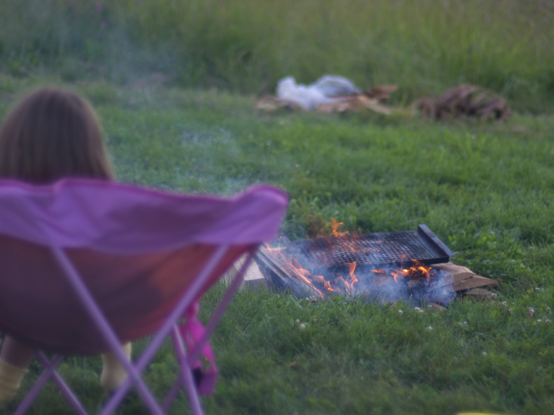 SampsonStatePark2009-03