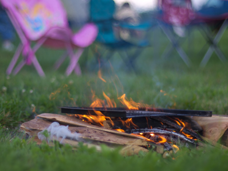 SampsonStatePark2009-04