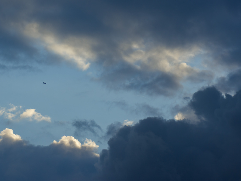 SampsonStatePark2009-05