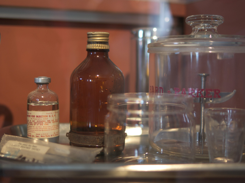 SampsonStatePark2009-20