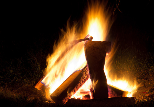 SampsonStatePark2009-51