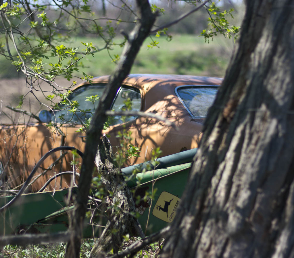 OldFashionedDay2009-03