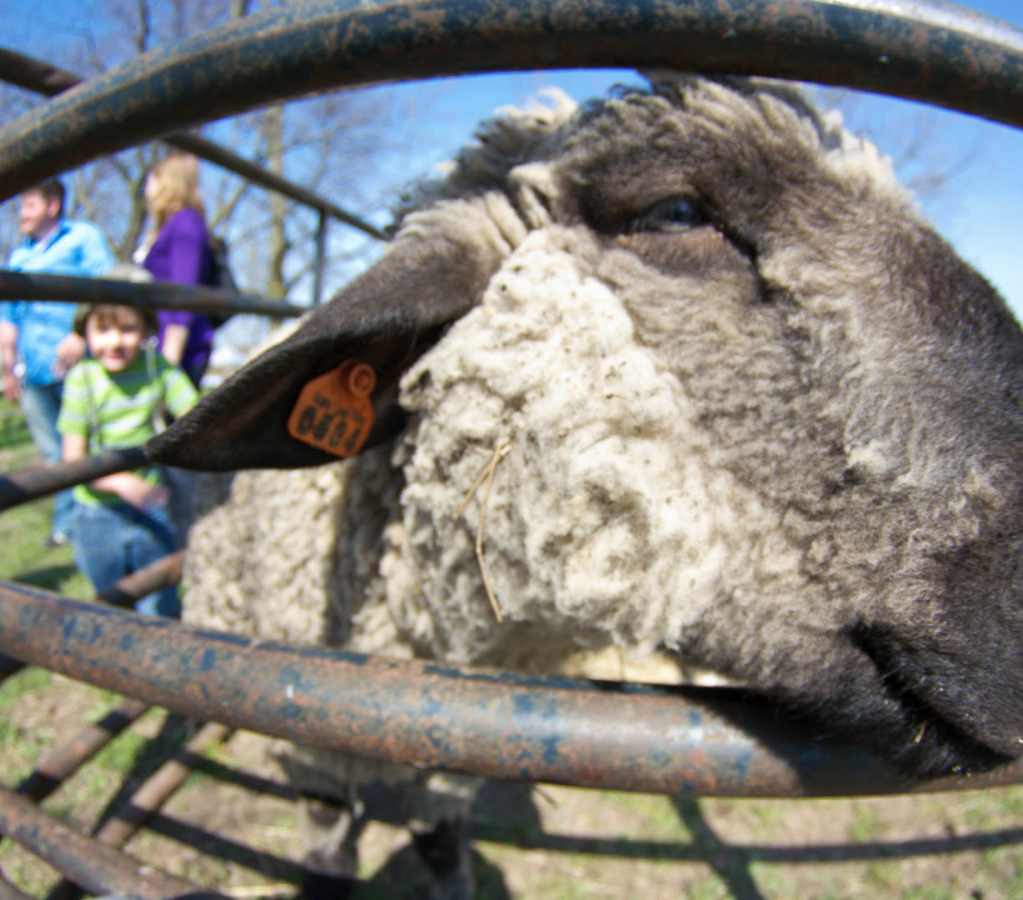 OldFashionedDay2009-06