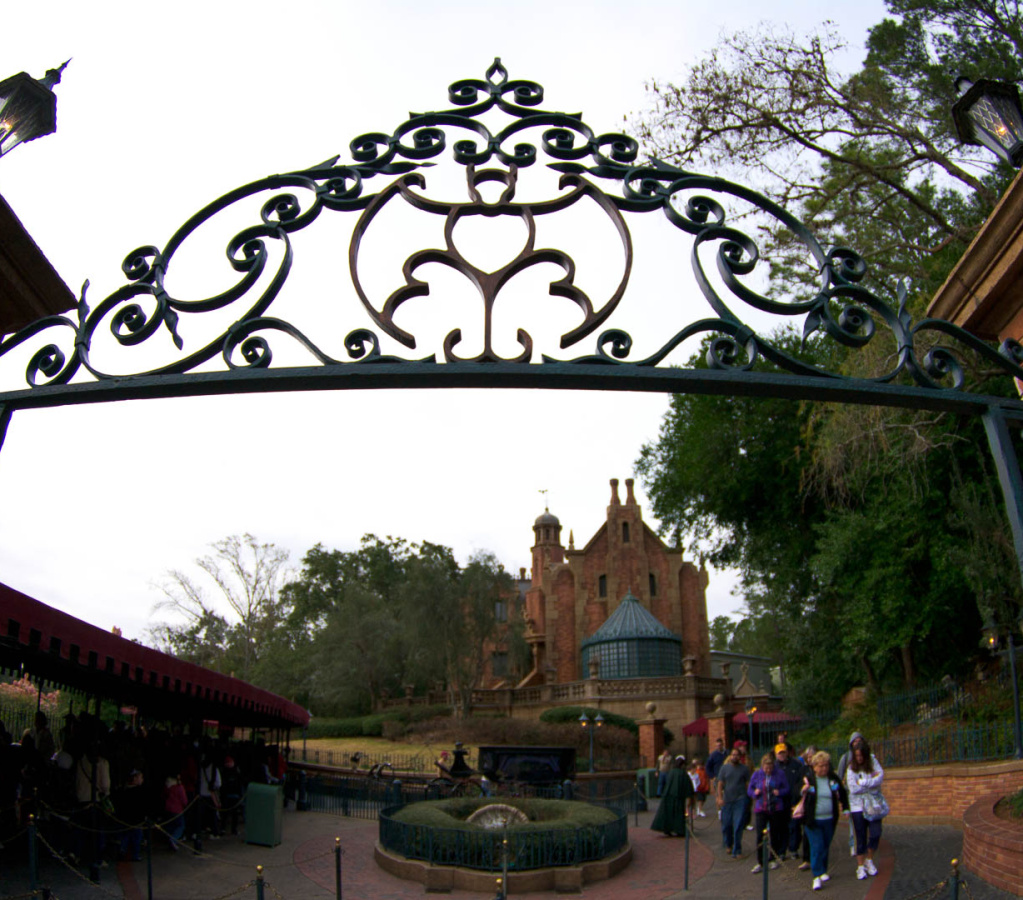 WDW201001-519