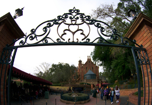 WDW201001-519