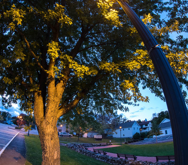 Photography-161024-03