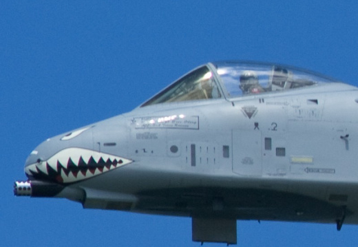 Nikkor 20cm test, 100% crop