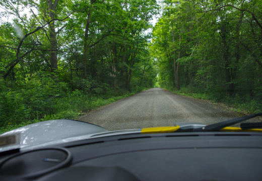 201806 LOONY track day-01