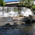 Chagrin Falls