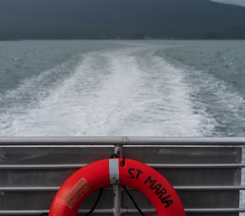 JUN-610 Whale Watching & Wildlife Quest