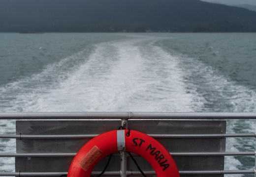 JUN-610 Whale Watching & Wildlife Quest