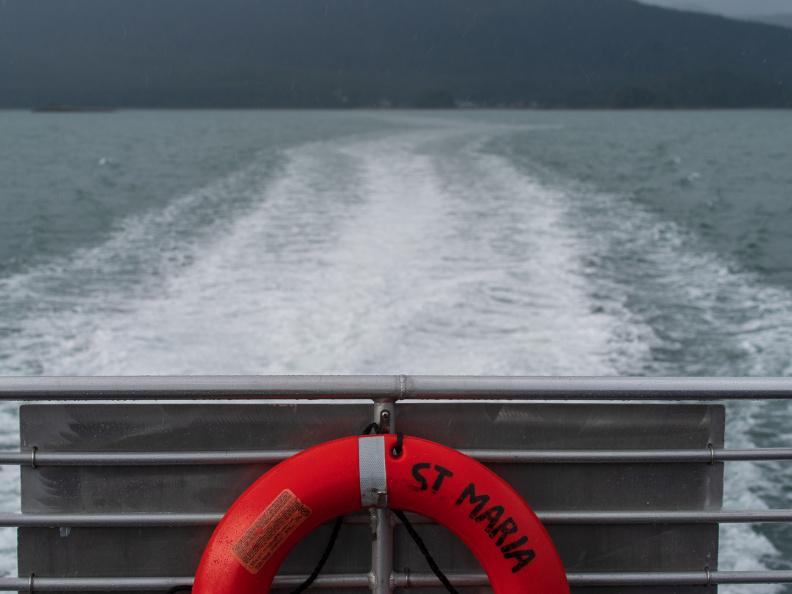 JUN-610 Whale Watching & Wildlife Quest