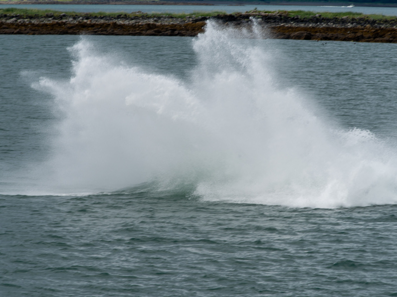Splash after humpback breeched