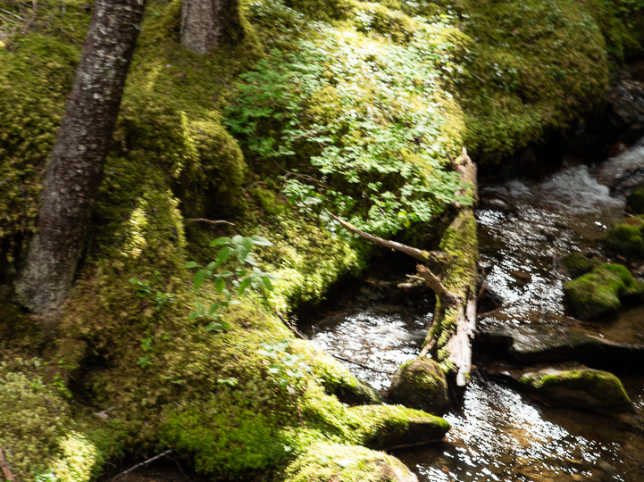 traveling to zipline location