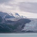 arriving at John Hopkins Glacier