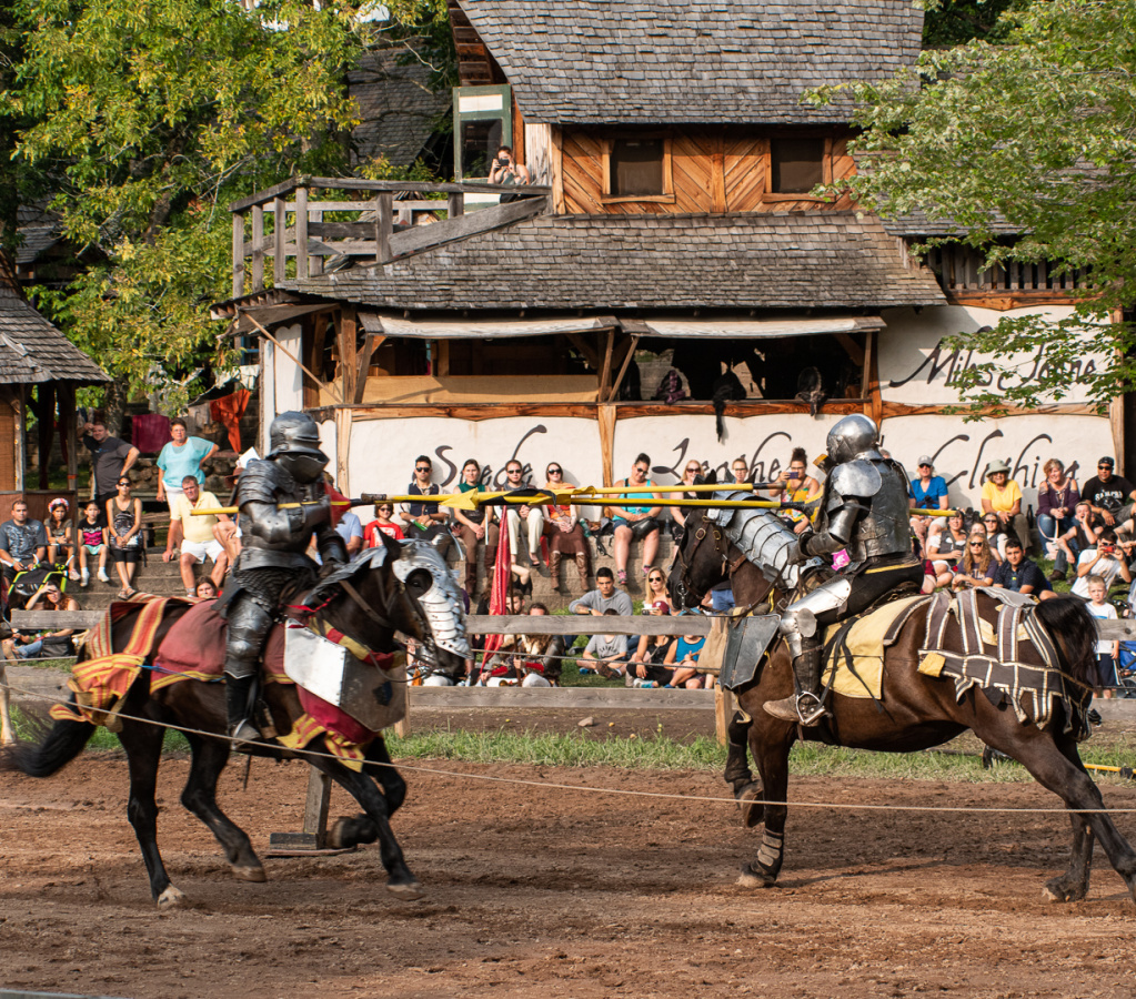 The Joust