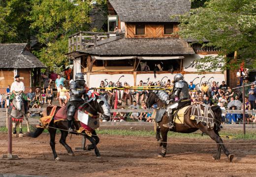 The Joust