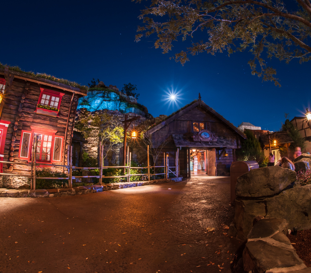 The Wandering Reindeer in Norway at night
