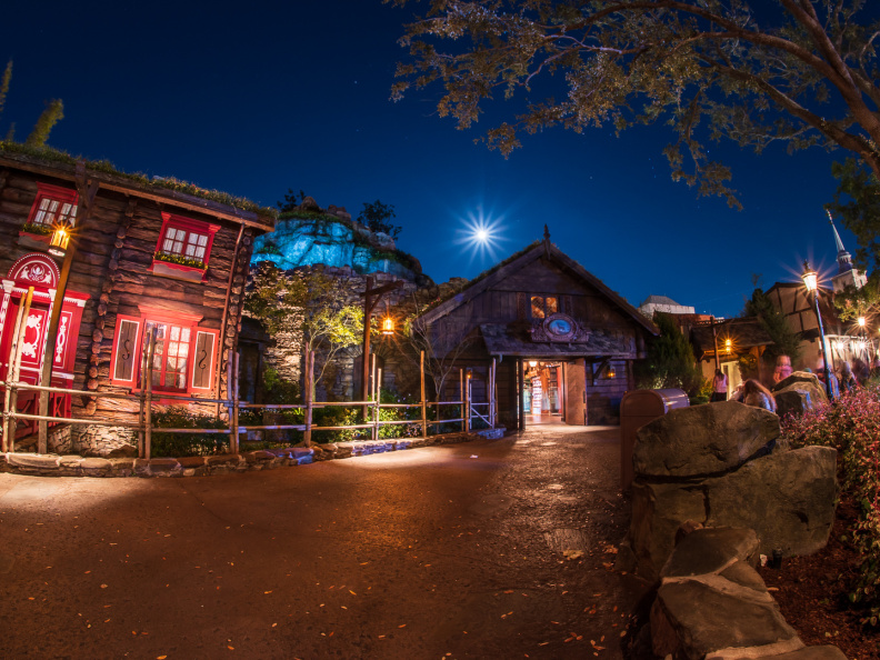 The Wandering Reindeer in Norway at night