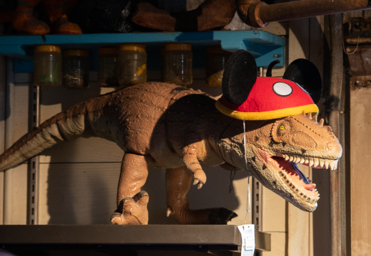 Mickey hat dinosaur