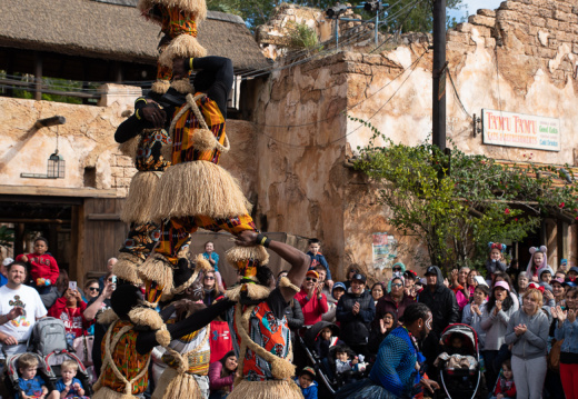 Harambe Village Acrobats